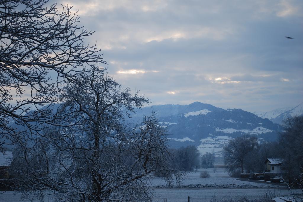 Apartamento Rheintal Feldkirch